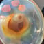 Small image 8
