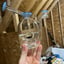 Small image 6