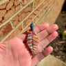 Small image 0