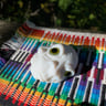 Small image 4