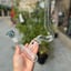 Small image 6