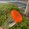 Small image 6