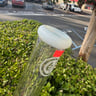 Small image 6
