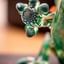 Small image 7