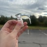 Small image 3