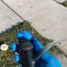 Small image 3
