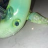Small image 1