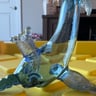 Small image 0