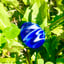 Small image 5