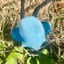 Small image 4