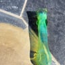 Small image 2