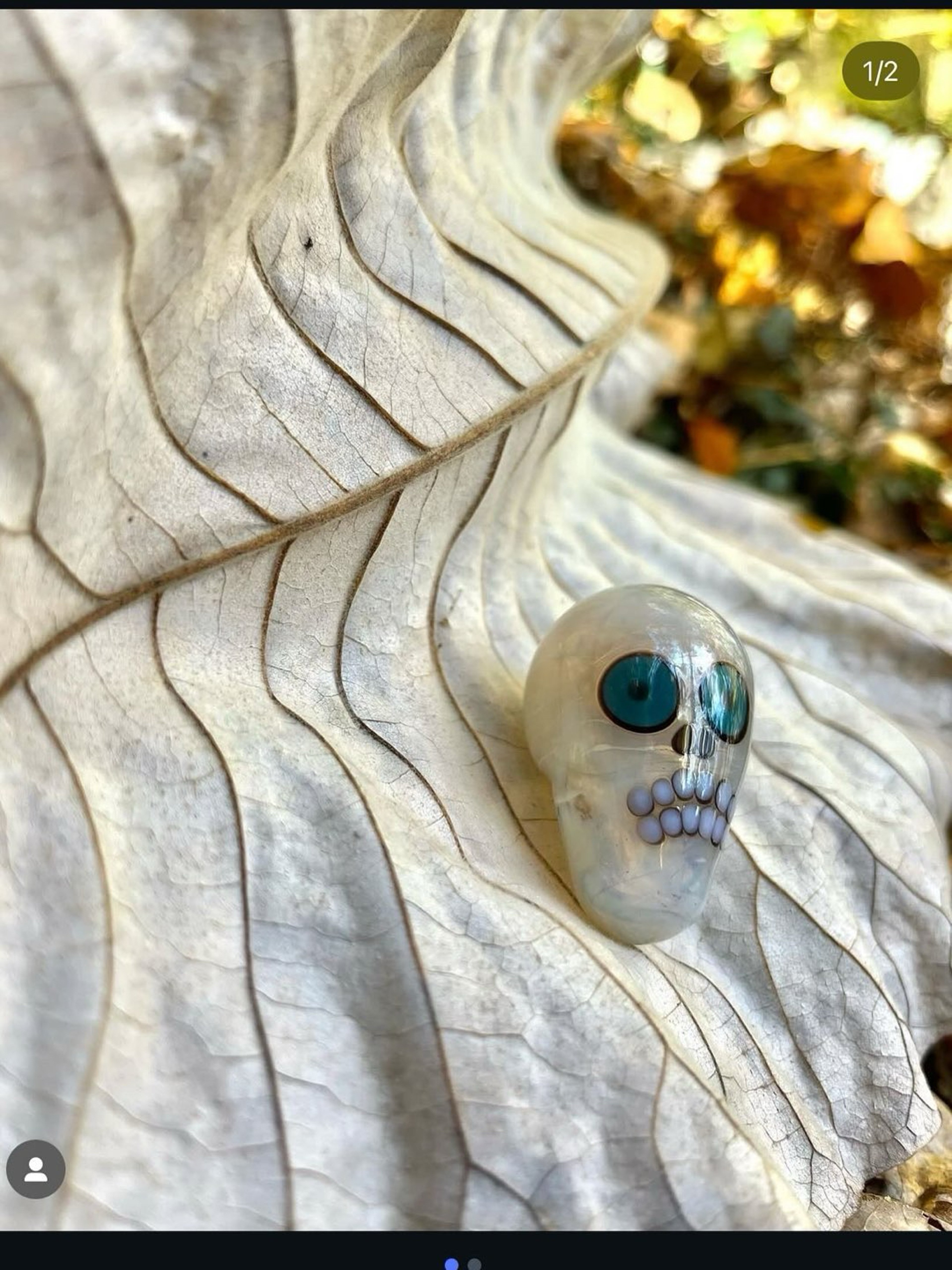 Preview pic of Opaline sugar skull by Mike gong