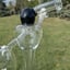 Small image 8