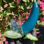 Small image 6