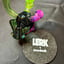 Small image 7