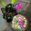 Small image 6