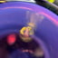 Small image 9