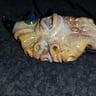 Small image 5