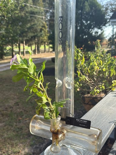 Preview pic of Roor 18 Inch Inline