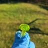 Small image 2