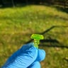 Small image 5