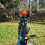 Small image 8
