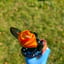 Small image 6