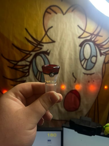 Preview pic of POKEMON POKEBALL SLIDE