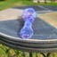 Small image 7