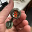 Small image 9