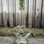 Small image 8