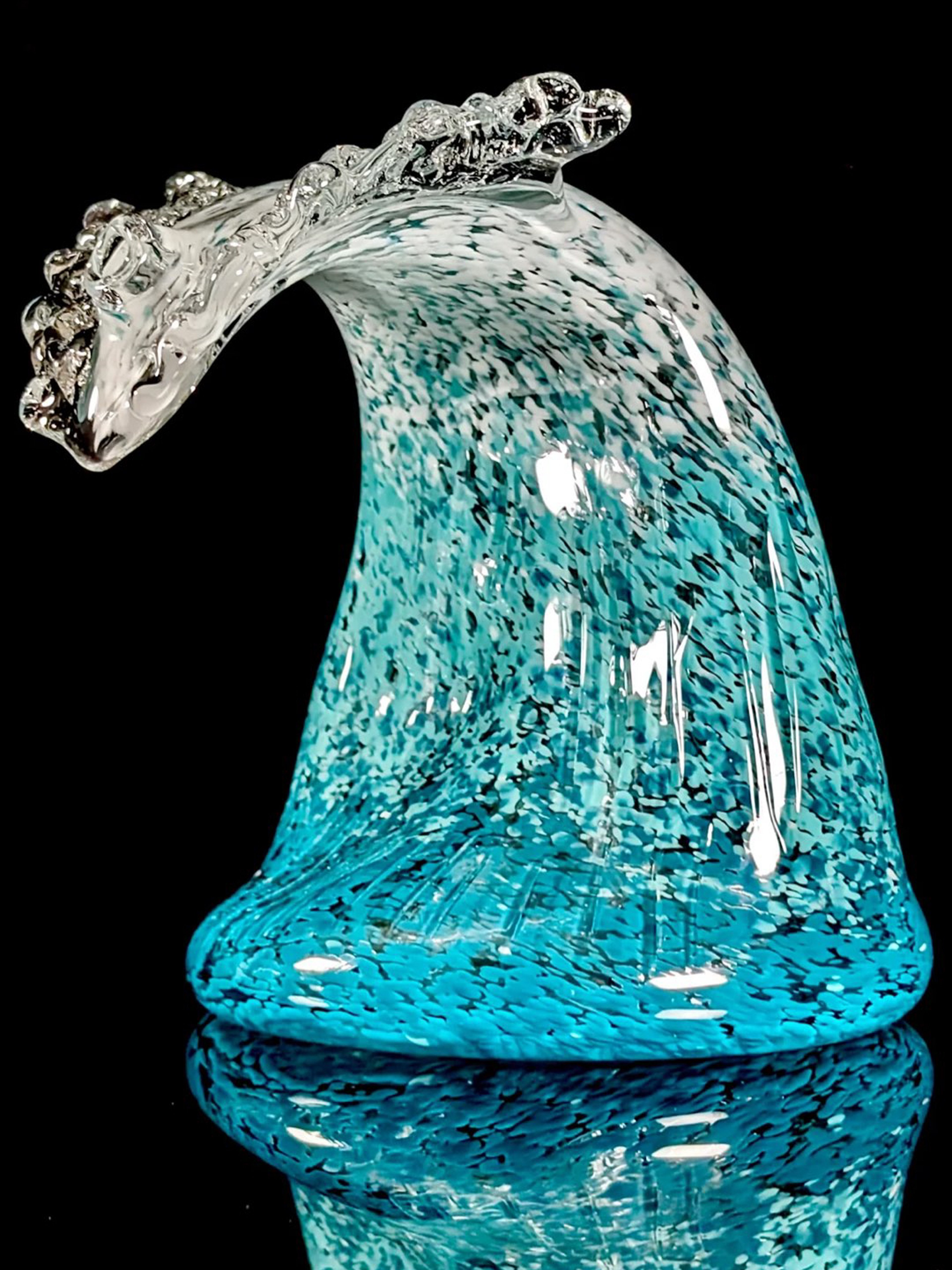 Black Sand Glass Large Wave Rig image 0