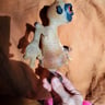 Small image 3
