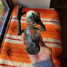 Small image 3