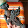 Small image 5