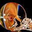 Small image 8