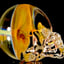 Small image 6