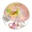 Small image 8