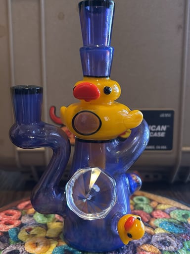 Preview pic of Recycler Duck
