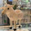 Small image 4