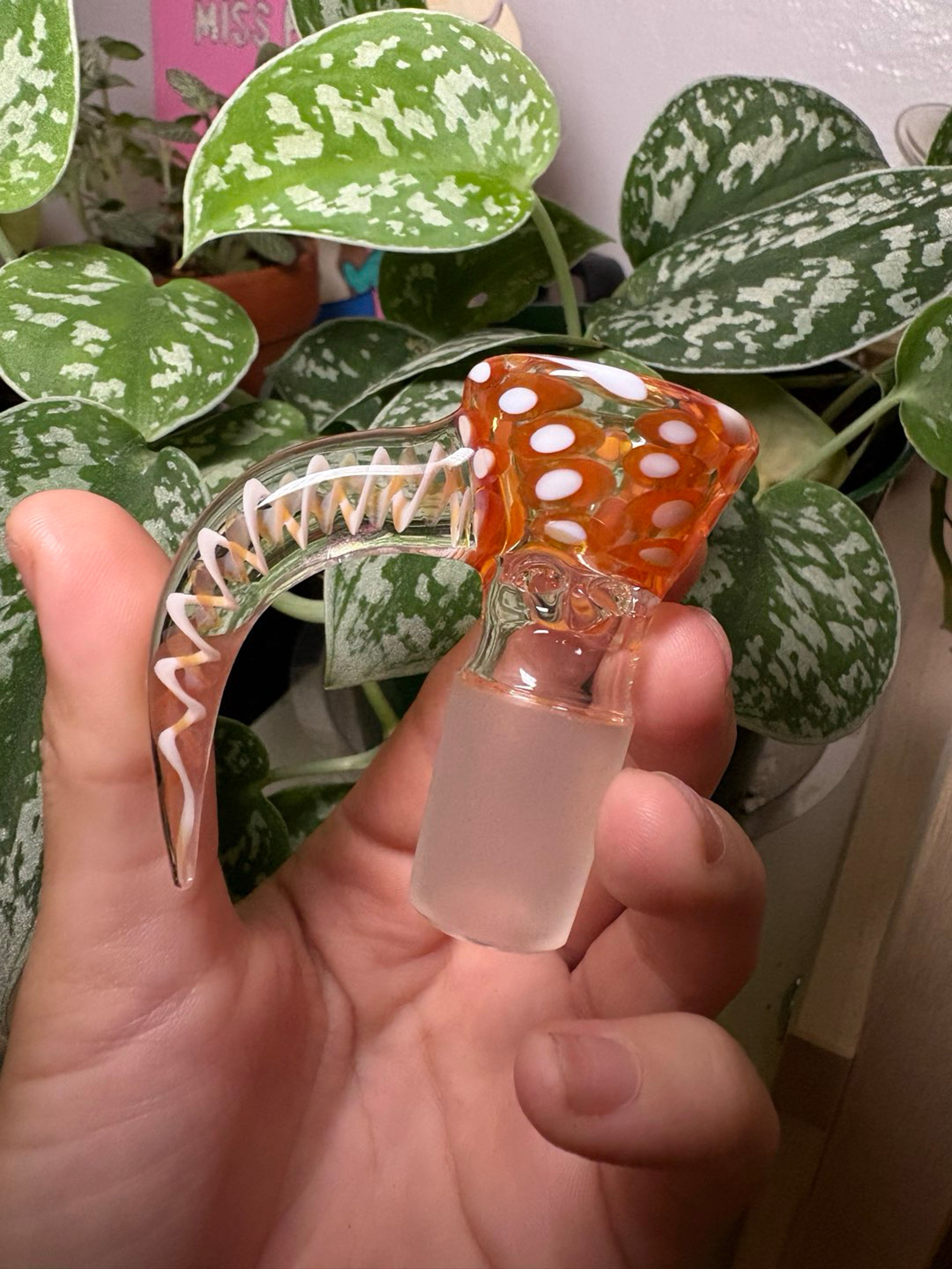 Preview pic of PapaP Glass Bowl 18/4