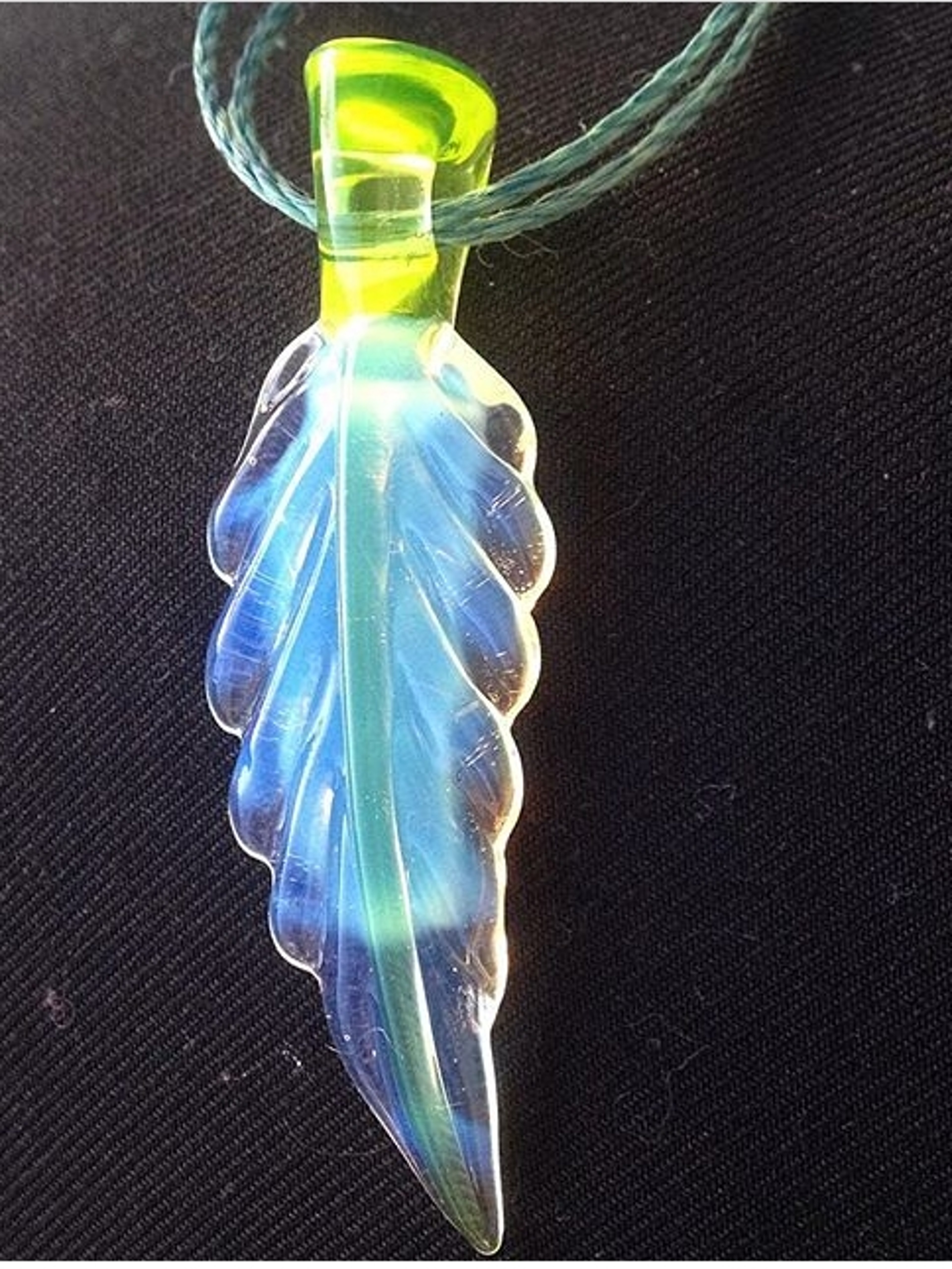 Preview pic of Alex ubatuba leaf #4 2016