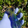 Small image 2