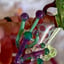 Small image 6
