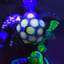 Small image 7