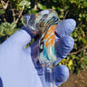 Small image 1