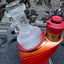 Small image 9