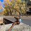 Small image 6