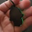 Small image 8