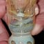 Small image 8